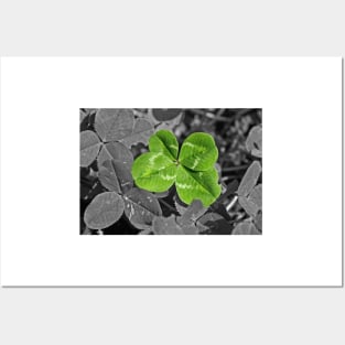 Lucky Four leaf Clover Posters and Art